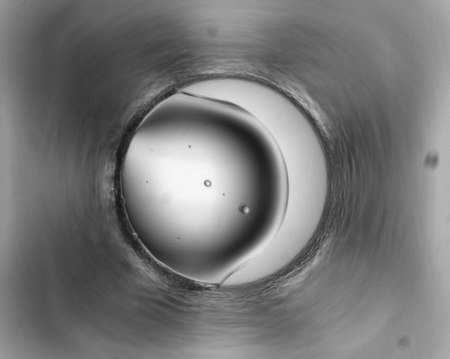 X0000102370585200808151837