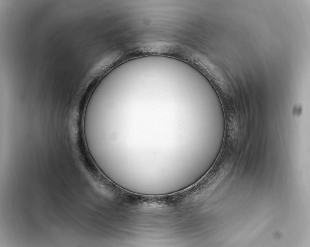 X0000102370586200808151837