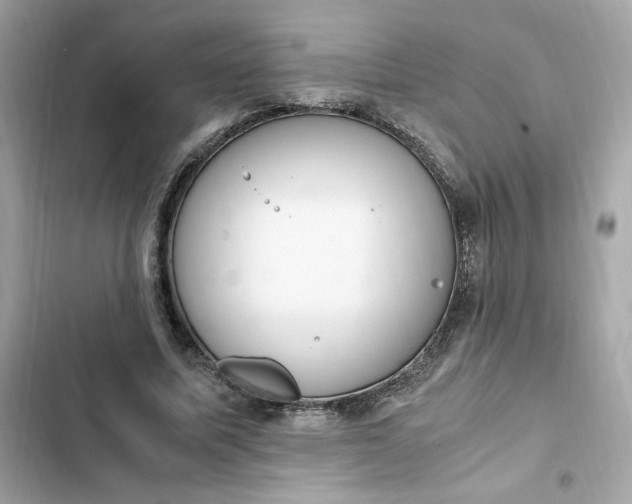 X0000102370587200808151837