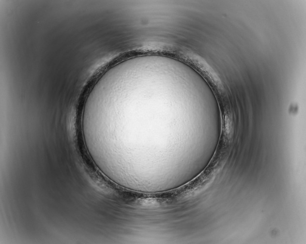 X0000102370588200808151837