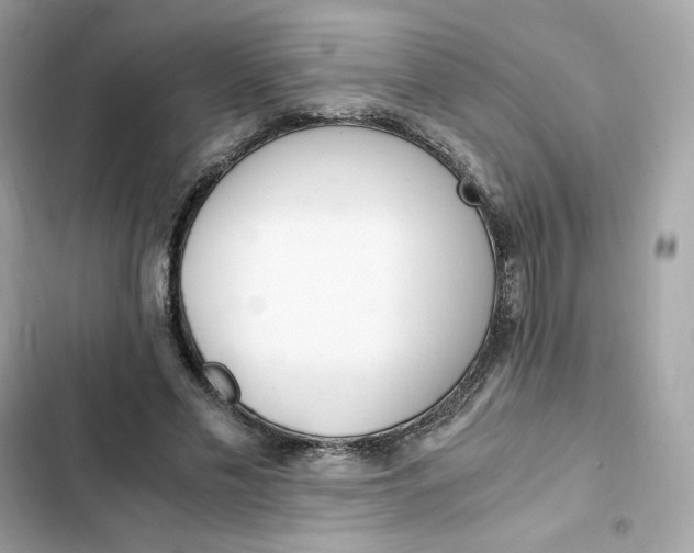 X0000102370589200808151837