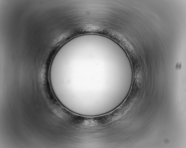 X0000102370591200808151837