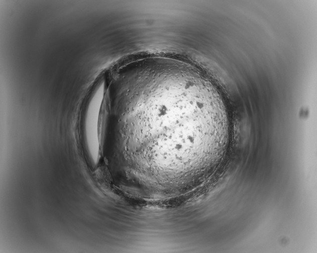 X0000102370592200808151837