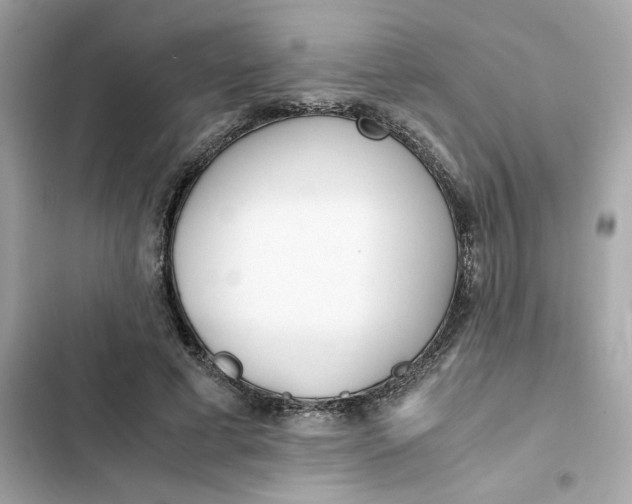 X0000102370593200808151837