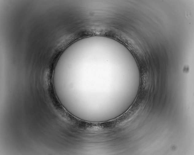 X0000102370594200808151837