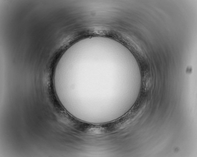 X0000102370595200808151837