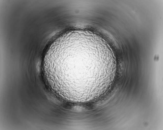 X0000102370596200808151837