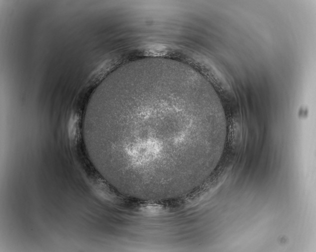 X0000102370598200808151837