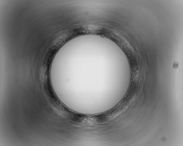 X0000102370599200808151837