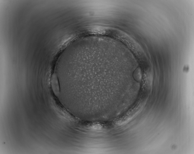 X0000102370600200808151837