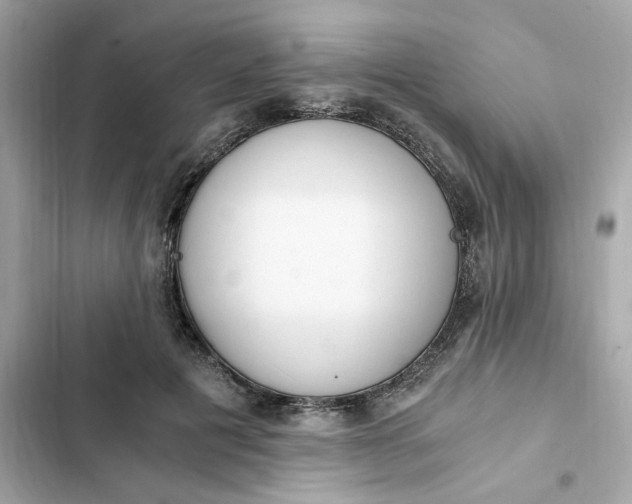 X0000102370601200808151837