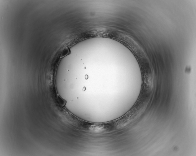 X0000102370602200808151837