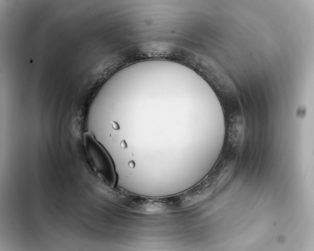 X0000102370604200808151837