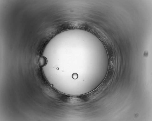 X0000102370605200808151837