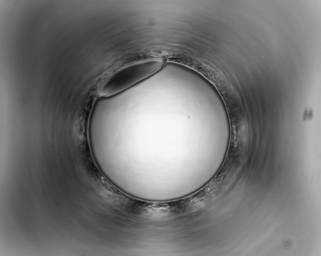 X0000102370606200808151837