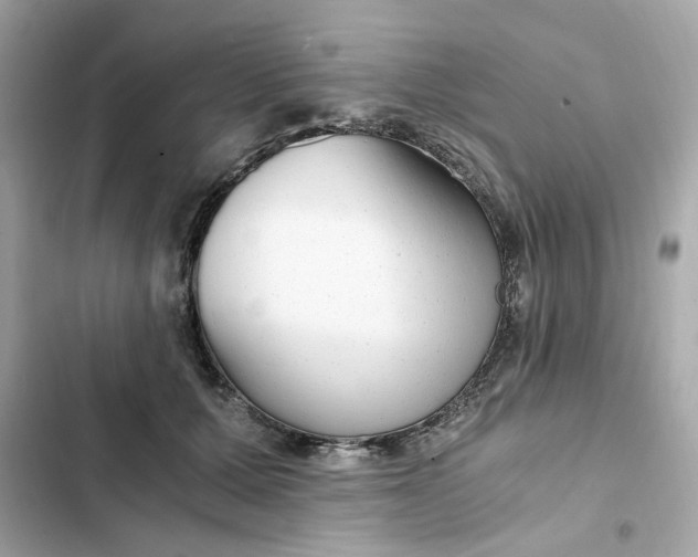 X0000102370607200808151837