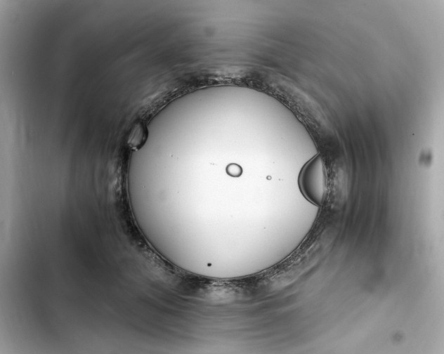 X0000102370608200808151837