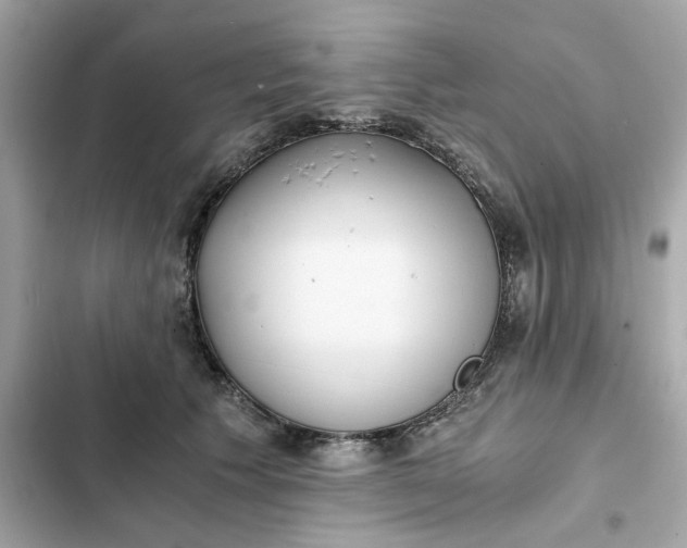 X0000102370609200808151837