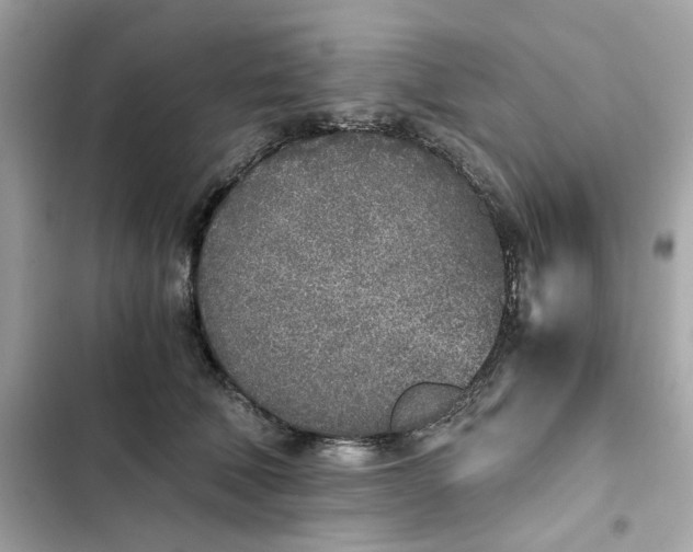 X0000102370610200808151837