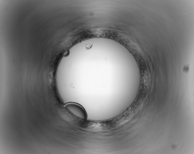 X0000102370611200808151837