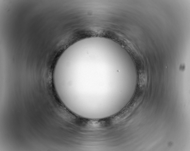 X0000102370613200808151837