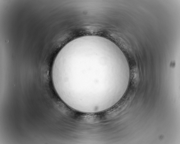 X0000102370615200808151837