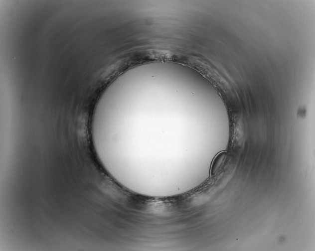 X0000102370616200808151837