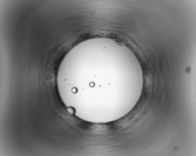 X0000102370617200808151837