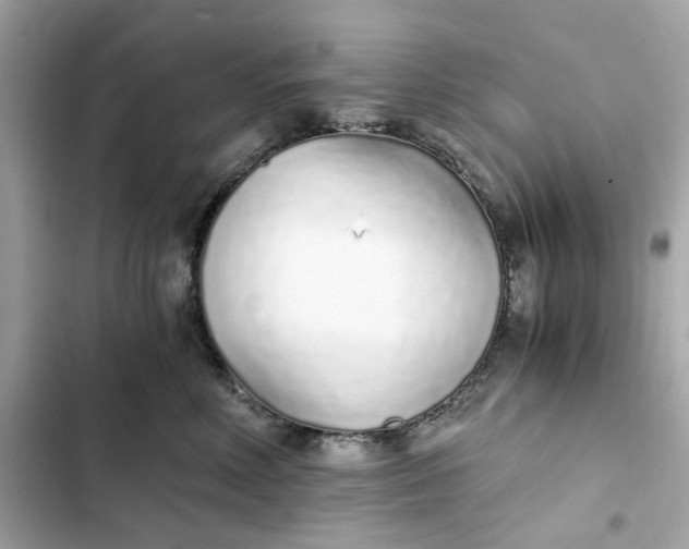 X0000102370618200808151837