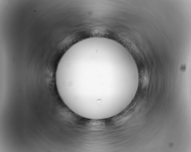 X0000102370619200808151836