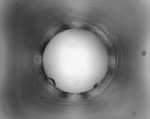 X0000102370621200808151836