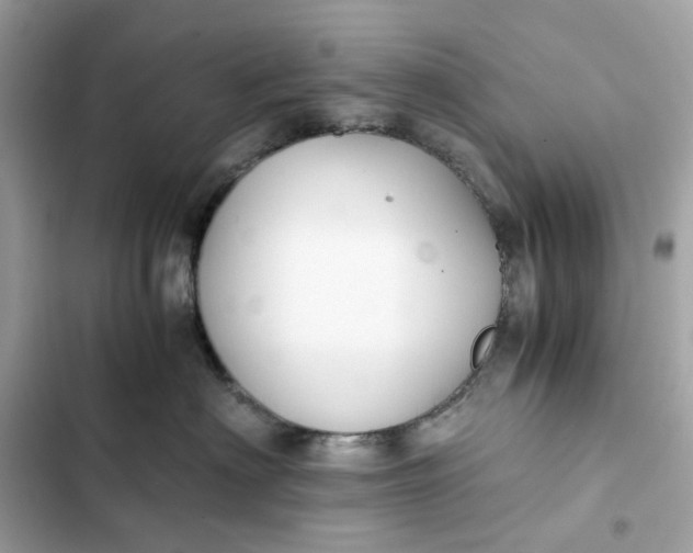 X0000102370622200808151836