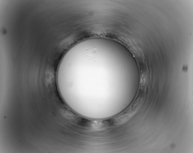 X0000102370623200808151836