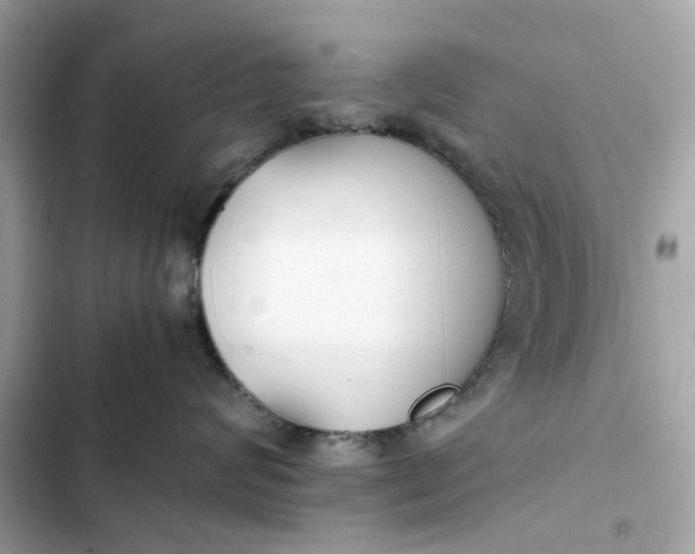 X0000102370624200808151836