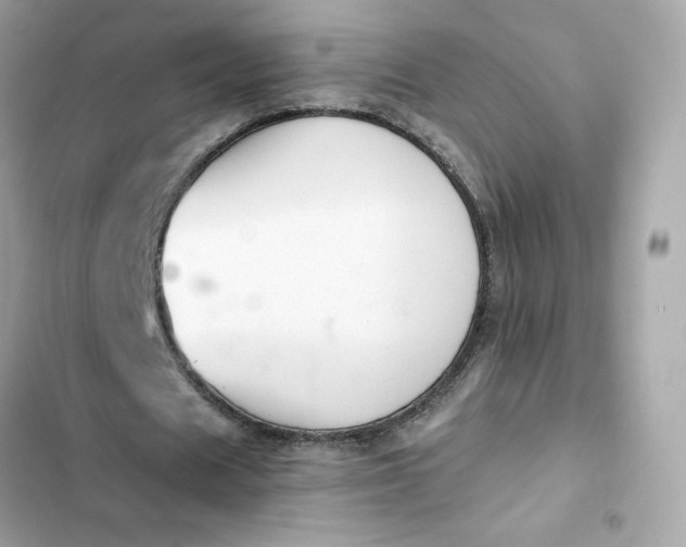 X0000102370625200808151836