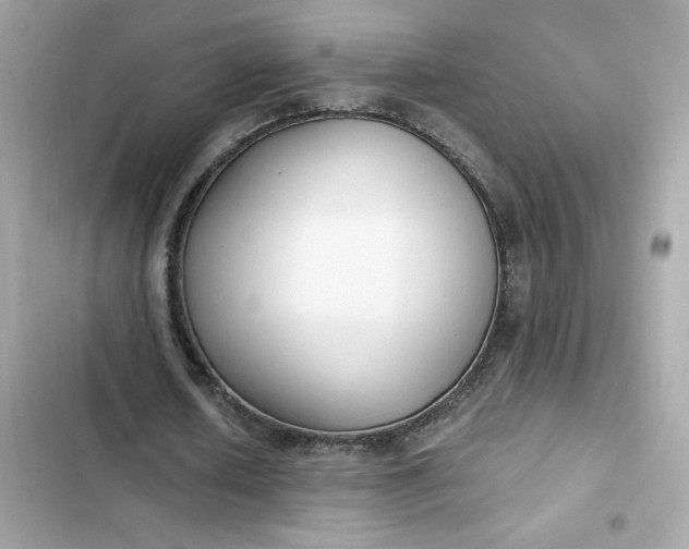 X0000102370626200808151836