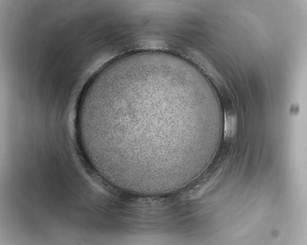 X0000102370627200808151836