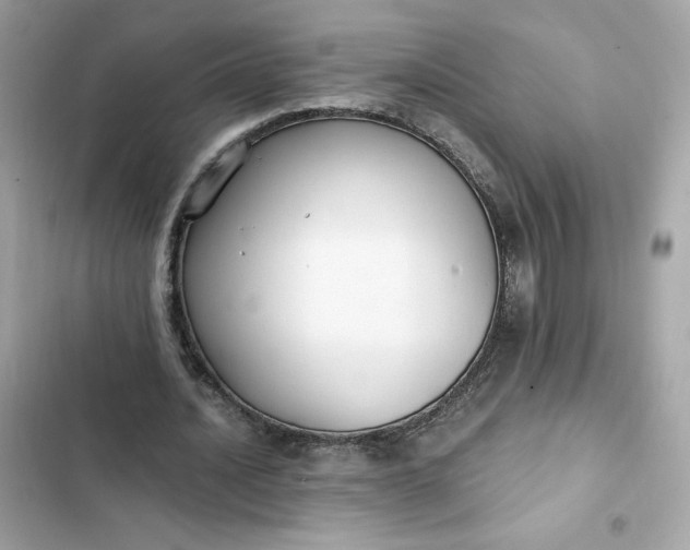 X0000102370628200808151836