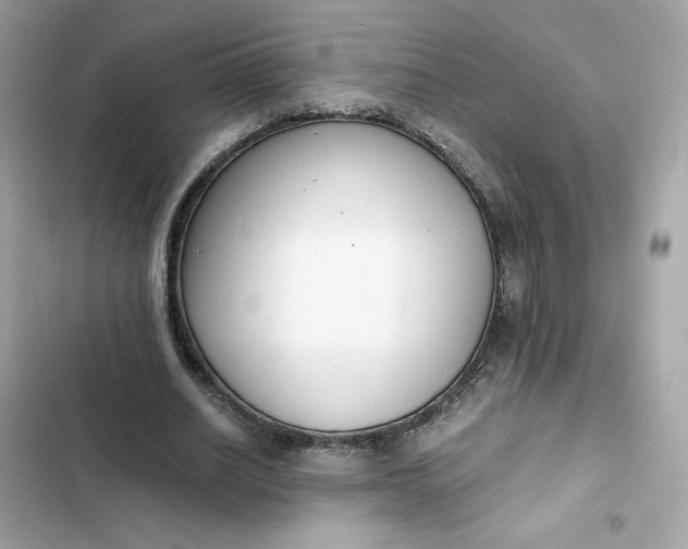 X0000102370630200808151836