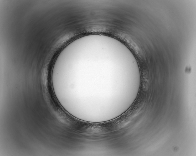 X0000102370631200808151836