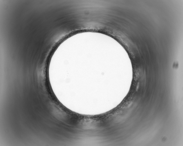 X0000102370632200808151836