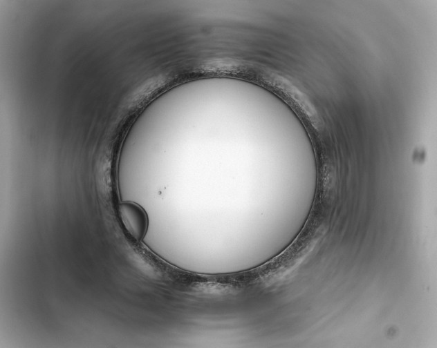 X0000102370633200808151836