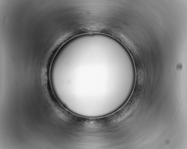 X0000102370634200808151836