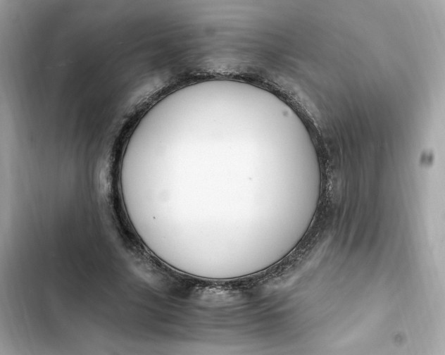 X0000102370635200808151836