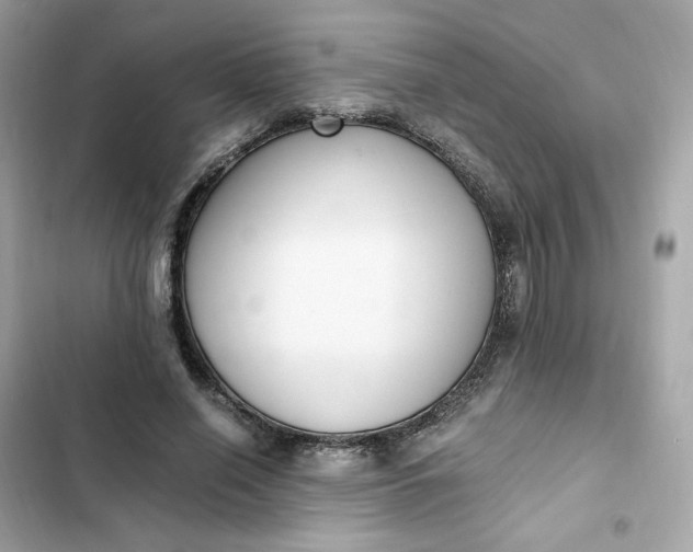 X0000102370638200808151836