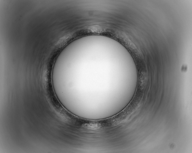 X0000102370639200808151836