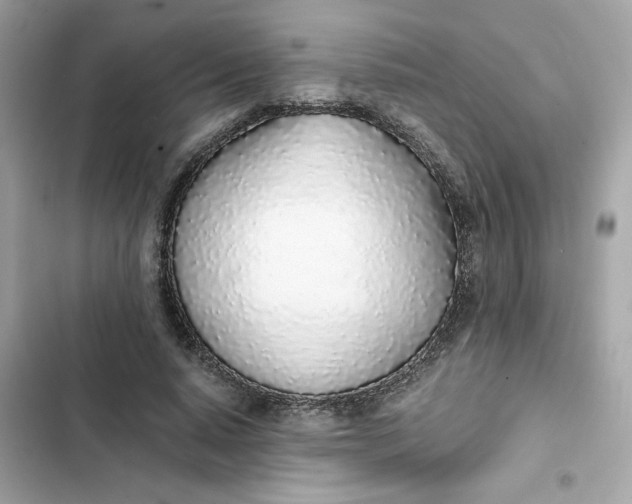 X0000102370640200808151836