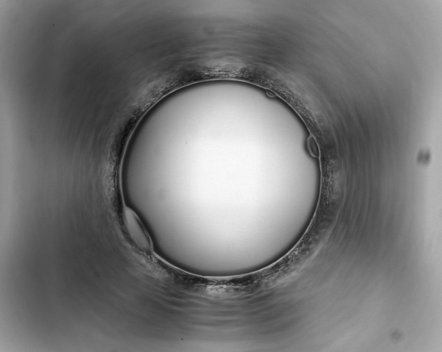 X0000102370641200808151836