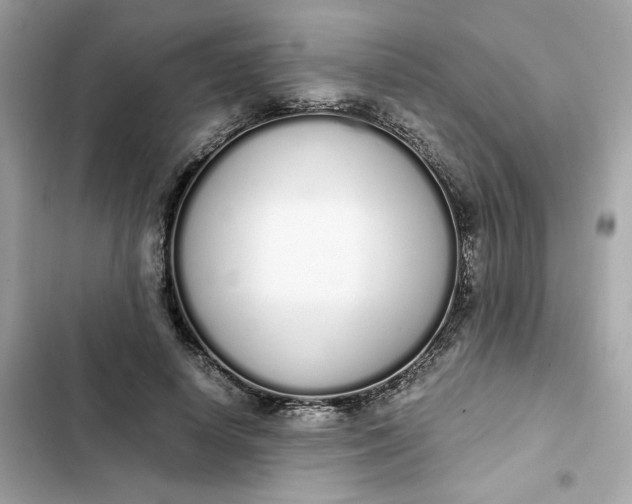 X0000102370642200808151836