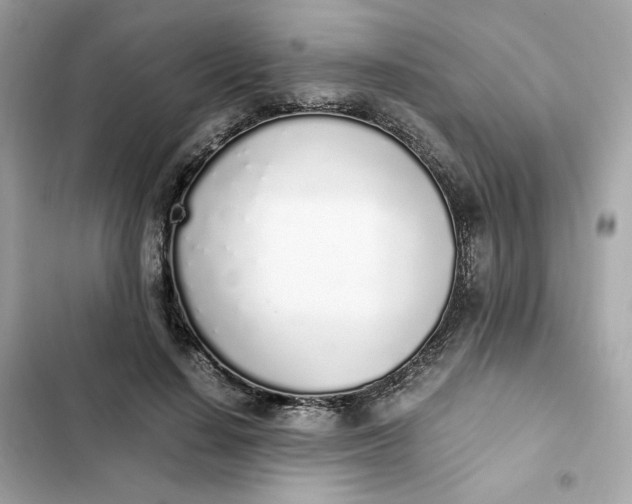 X0000102370644200808151836